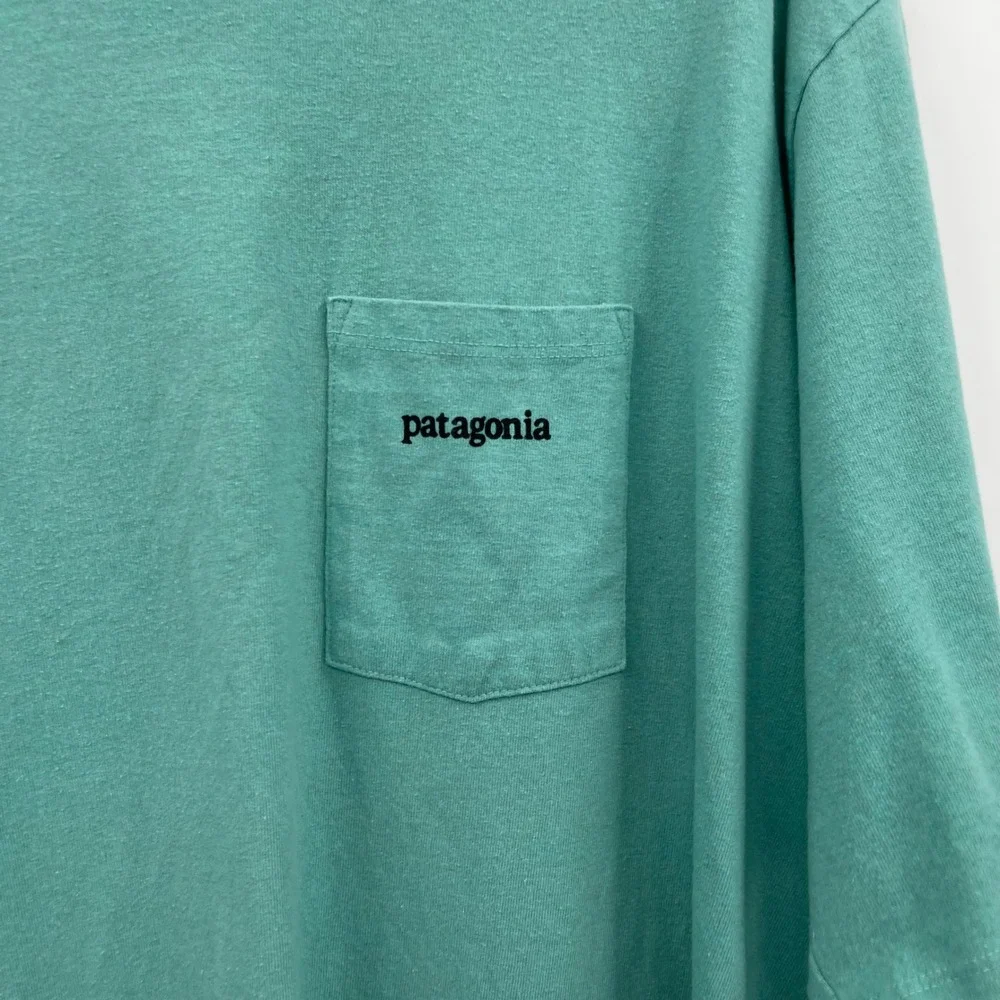 Patagonia men short